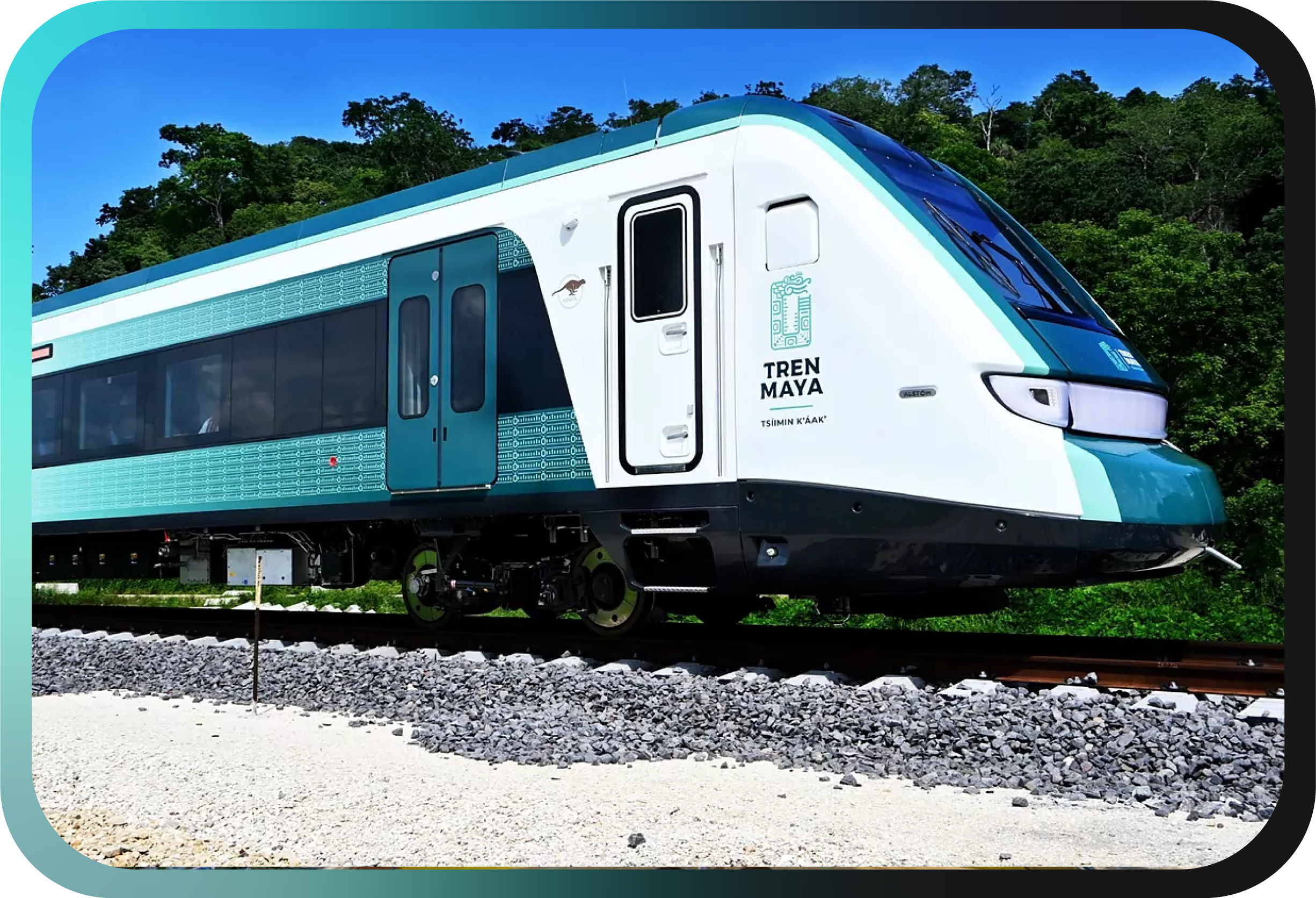 Día 6: Palenque - AIFA